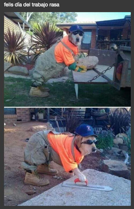 memes-dia-trabajo-regreso-oficina-humor-2018