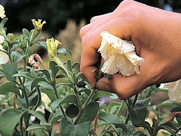 Regalos horribles que debes evitar dar en el Día de las Madres