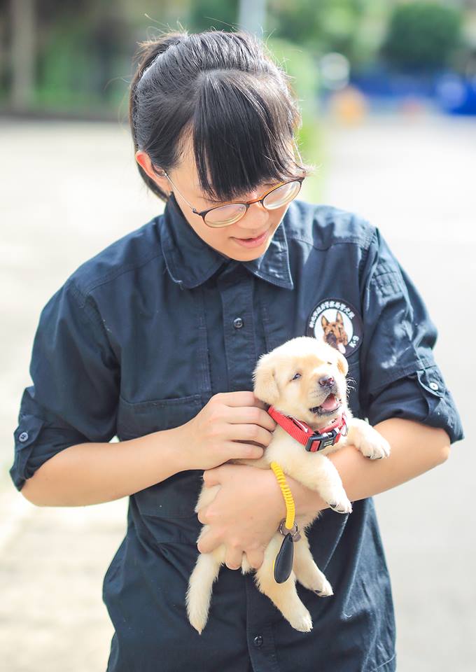 Perritos policia Taiwan
