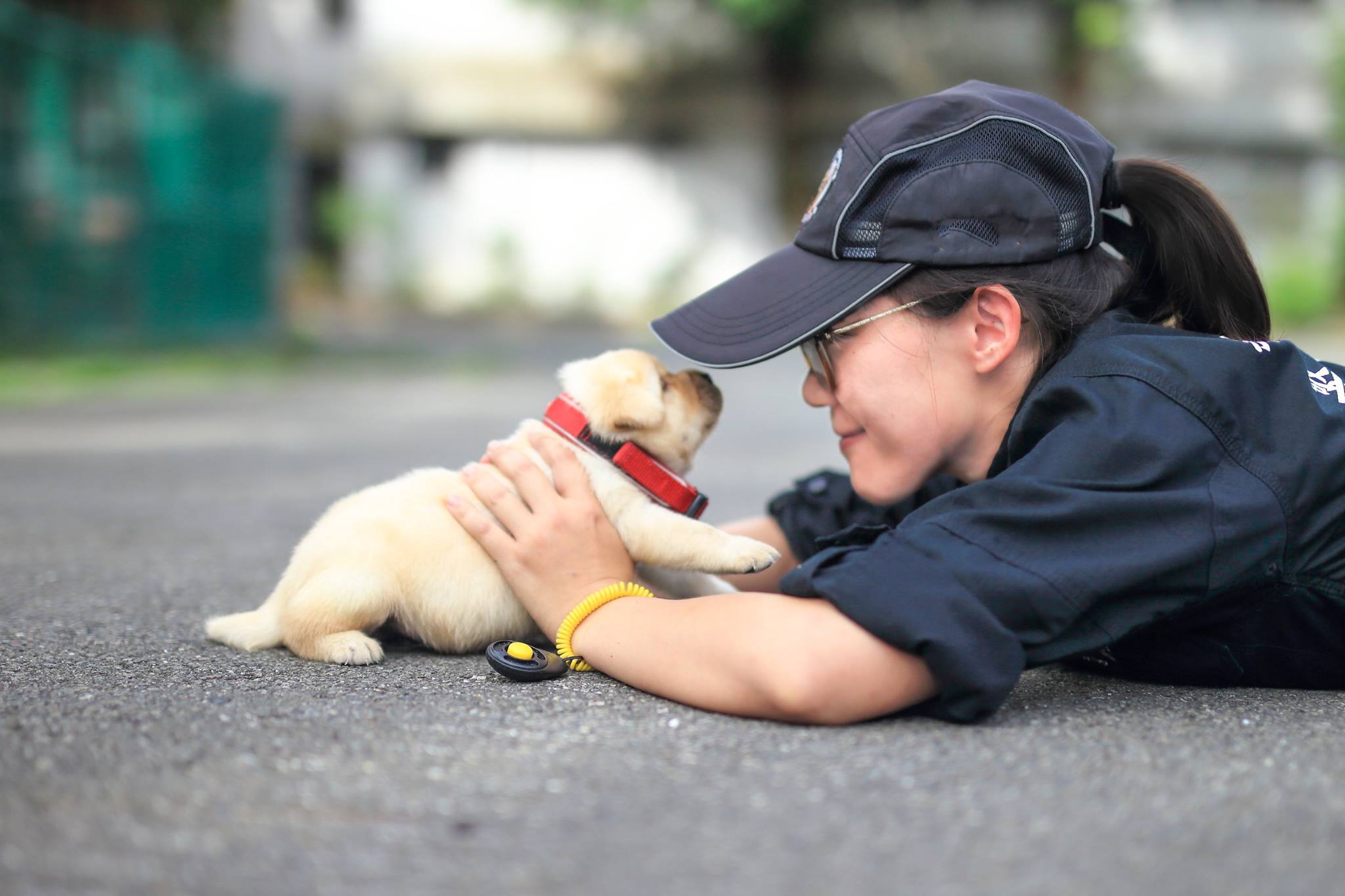 Perritos policia Taiwan