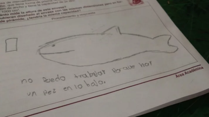 Memes dia del estudiante