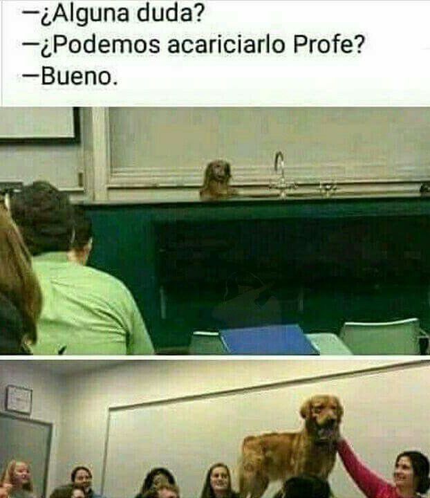 Memes dia del maestro