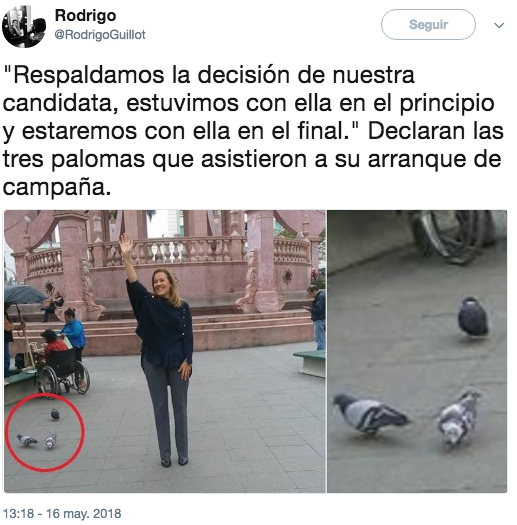 Memes renuncia margarita zavala
