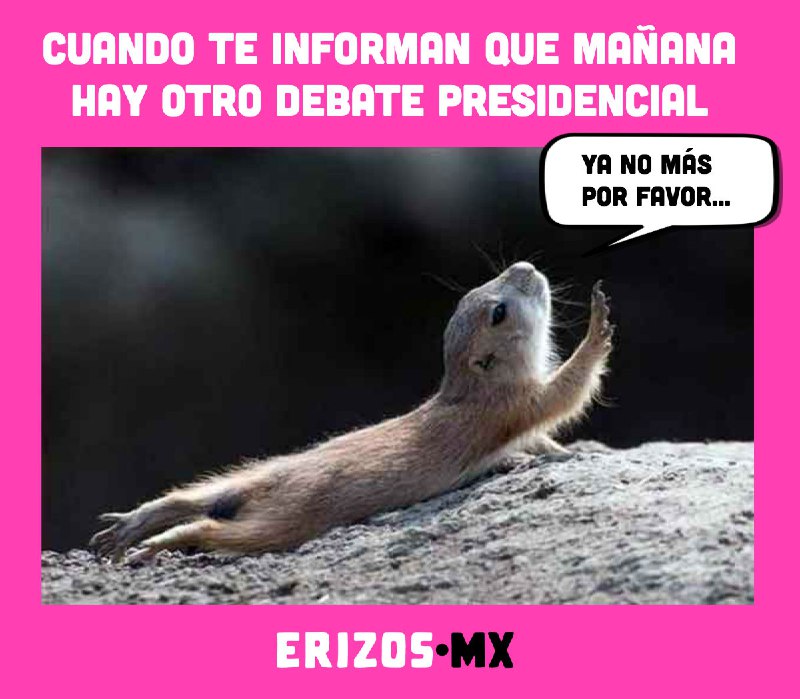 Erizos.mx