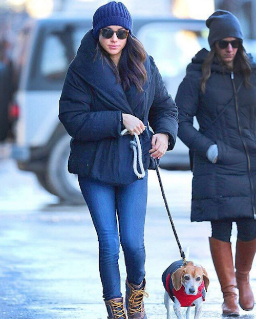 Meghan Markle Perro Guy Bogart Doherty