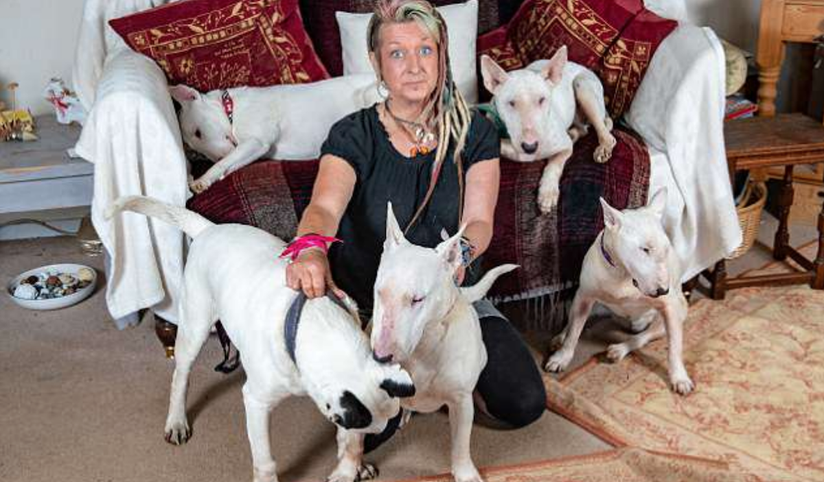 Liz Haslam Mike Mujer Marido Perros