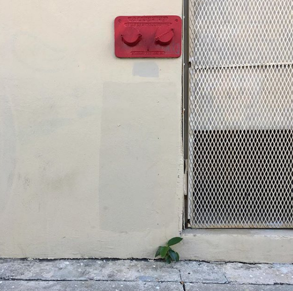 Artista transforma los paisajes urbanos en obras creativas y divertidas