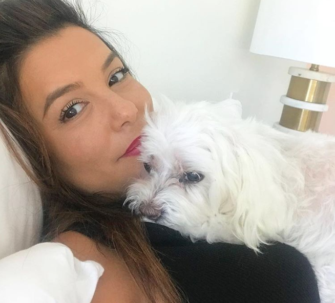 eva-longoria-madre-luto-muerte-mascota-foto-instagram