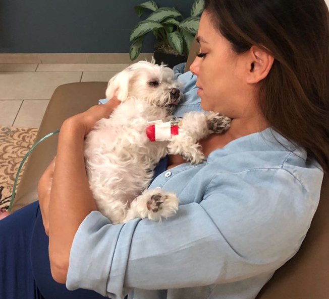 eva-longoria-madre-luto-muerte-mascota-foto-instagram