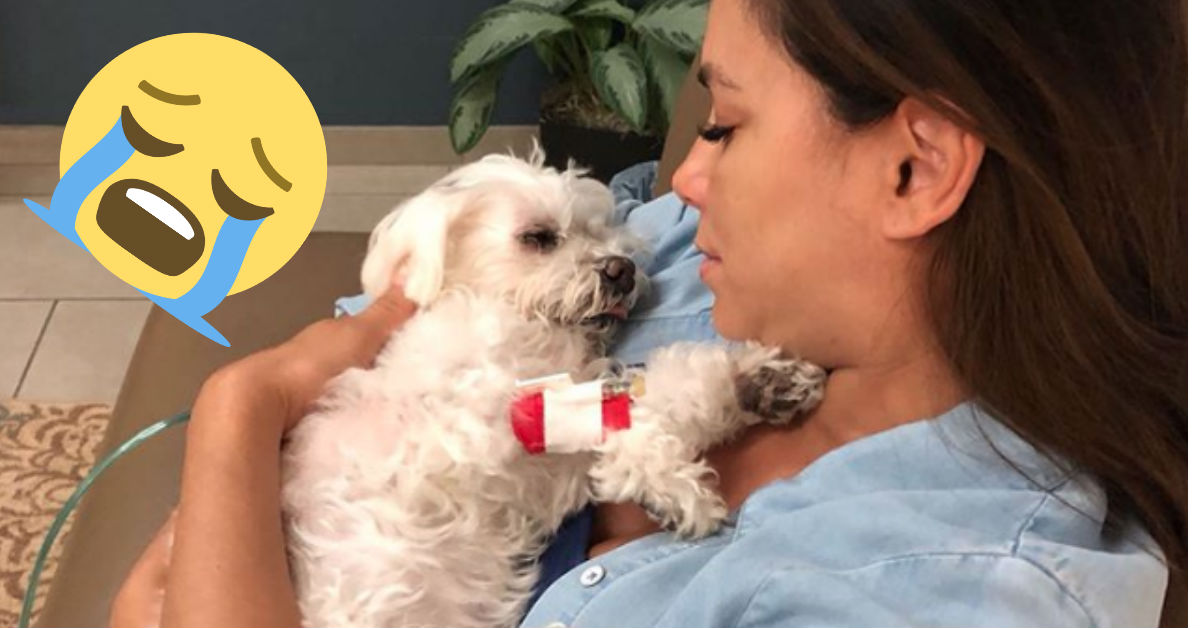eva-longoria-madre-luto-muerte-mascota-foto-instagram