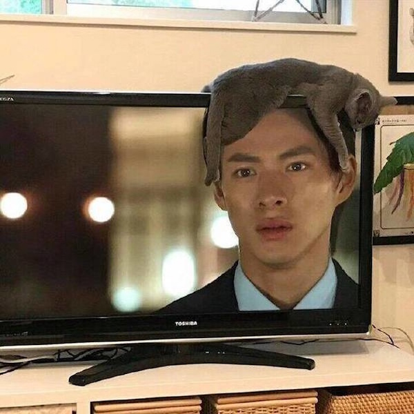 Fotos tomadas por personas que estuvieron en el lugar y momento exactos