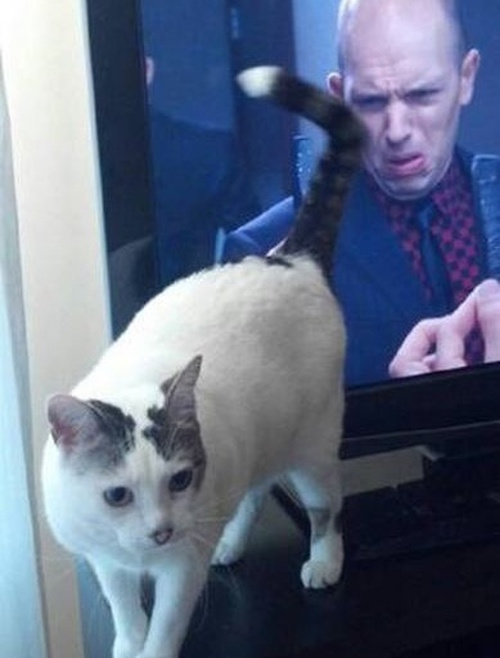 Fotos tomadas por personas que estuvieron en el lugar y momento exactos