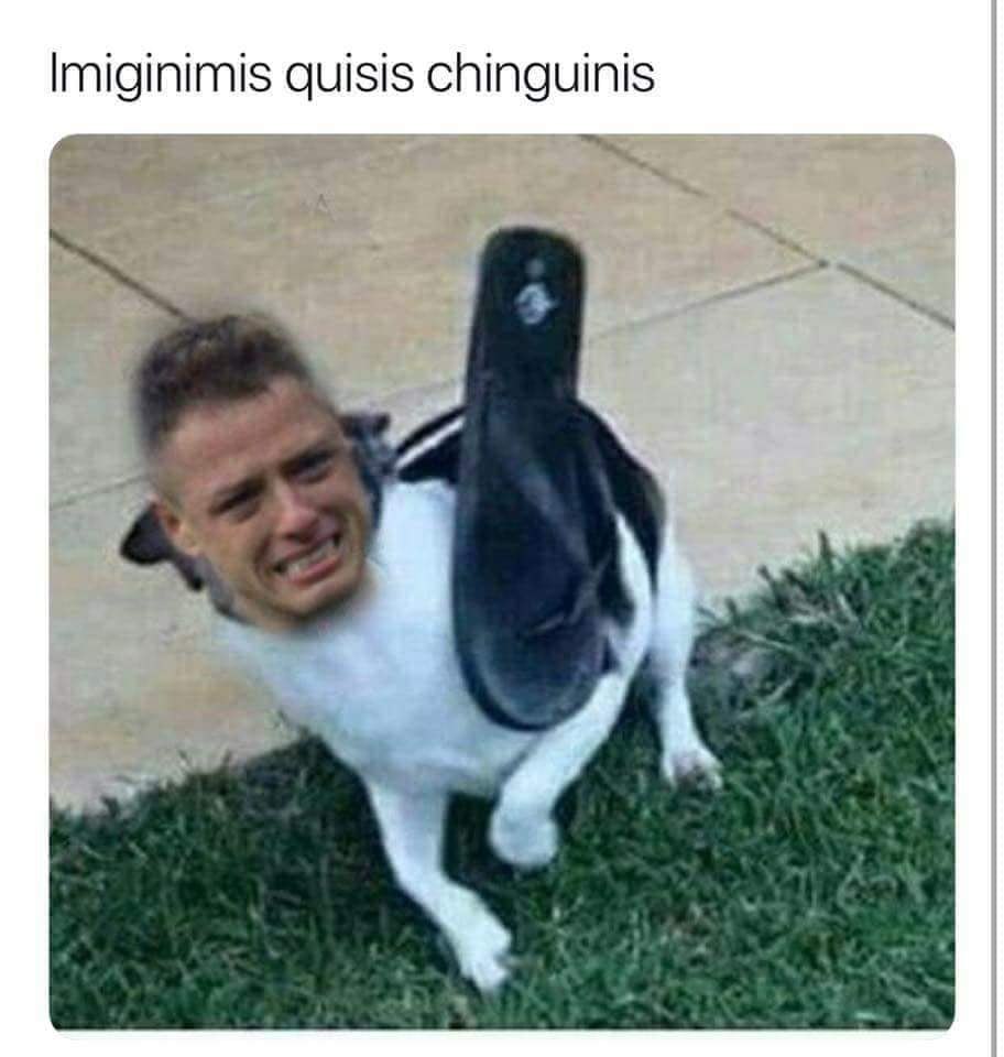 Memes de Corea y México