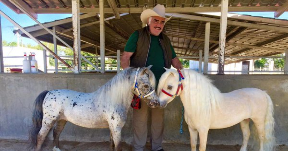 Foto, Vicente Fernández, Polémica, Redes, Caballos Miniatura, Los Potrillos