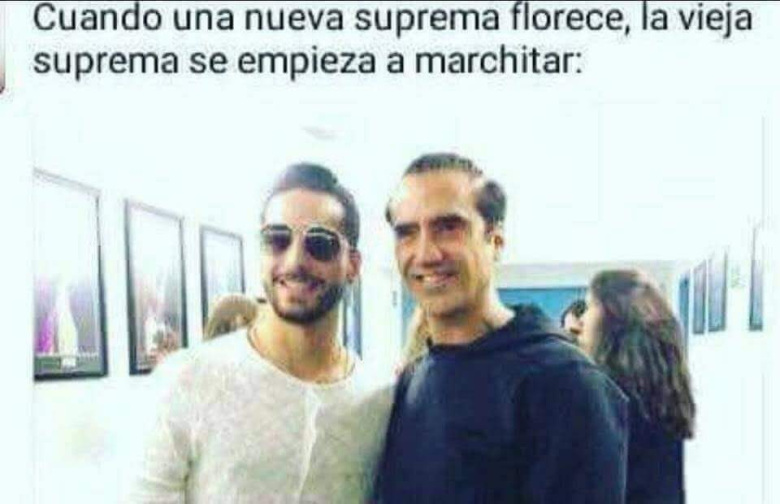 memes maluma gay