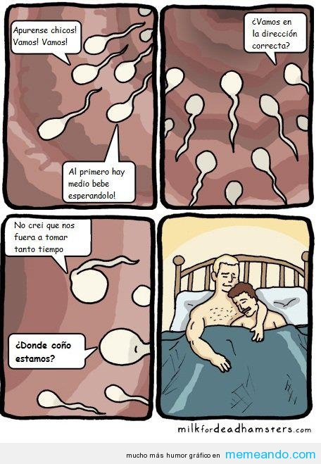Meme espermatozoides gay
