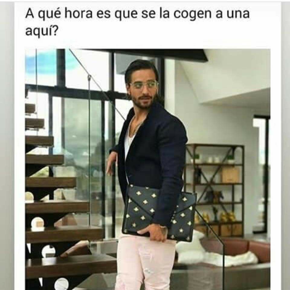 memes-maluma-gay