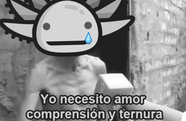 memes-conservacion-axolotl