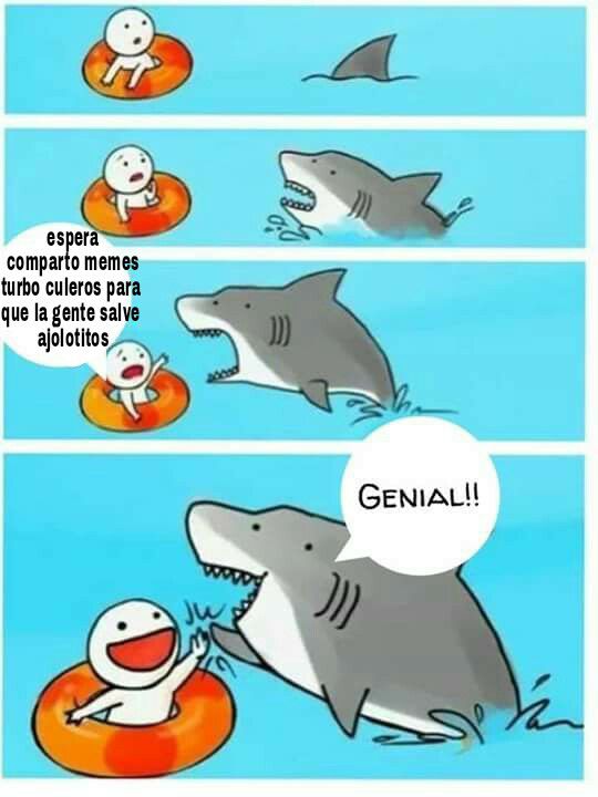 memes-conservacion-axolotl