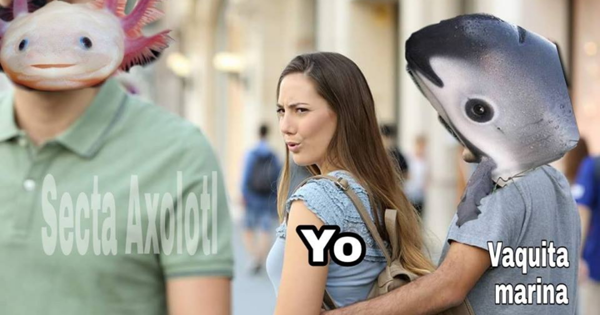 memes-conservacion-axolotl