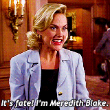 Meredith Blake Juego de Gemelas