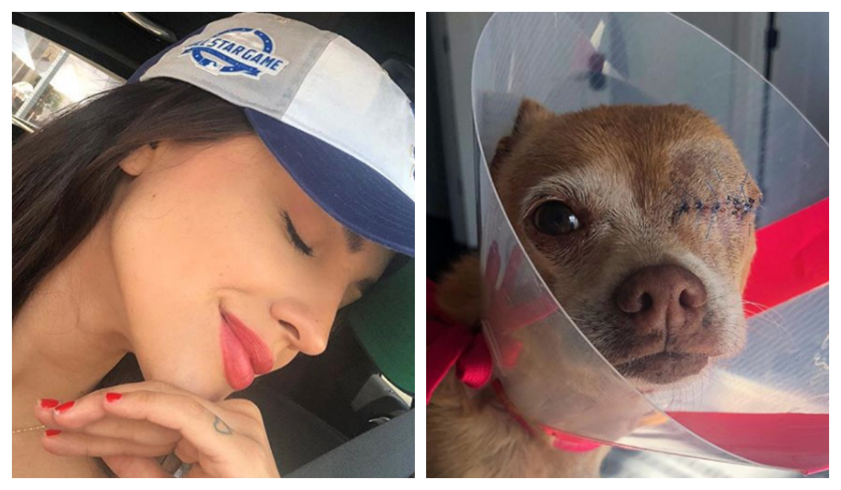 Tierna historia Perrita tuerta Eiza González