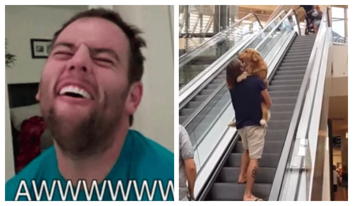 Perrito miedoso video viraliza Cargado bebé