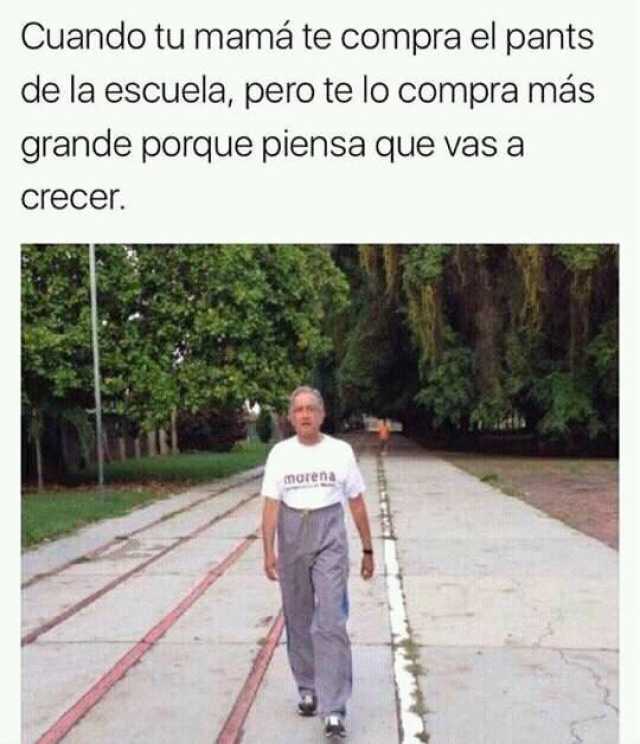 Memes amlo pants