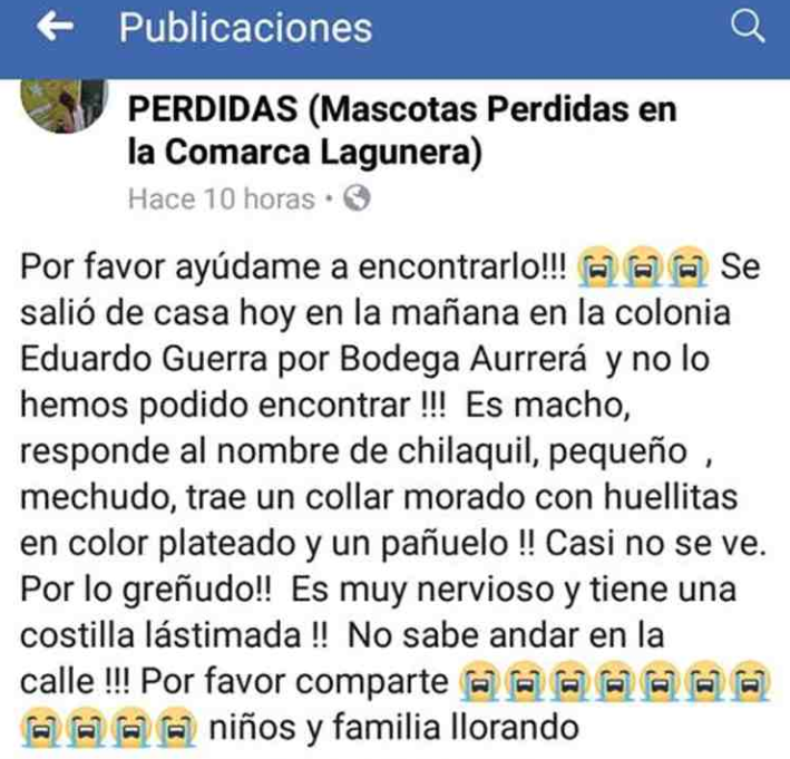 eliza-valles-atropella-perro-burla-multimedios-facebook