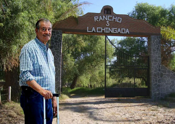 Memes Vicente Fox
