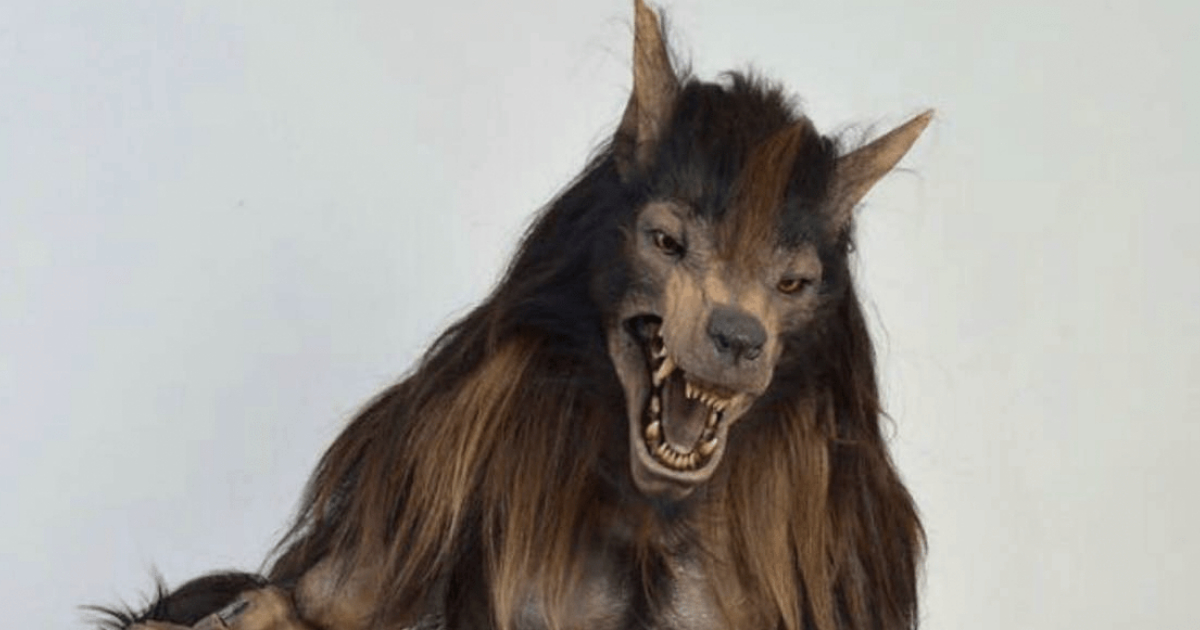 Nueva Mascota, Lobos BUAP, Mascota, Lobos BUAP, Hombre Lobo, LigaMX
