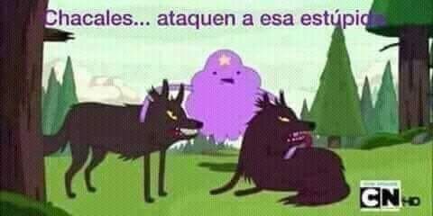 Meme Grumosa Estupida