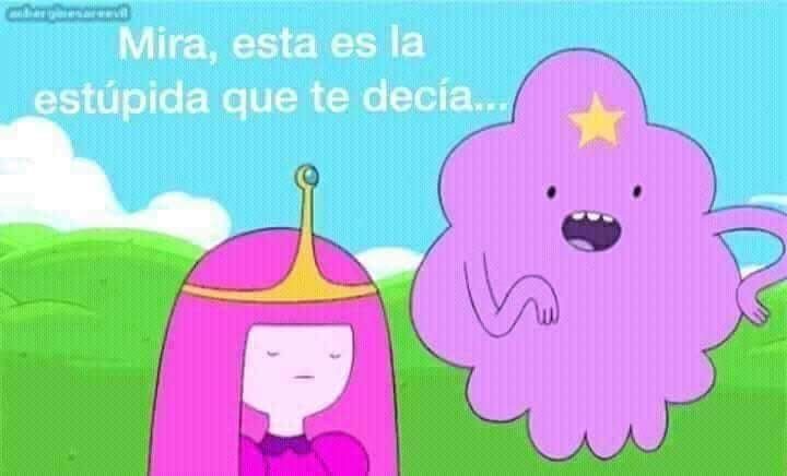 Meme Grumosa Estupida