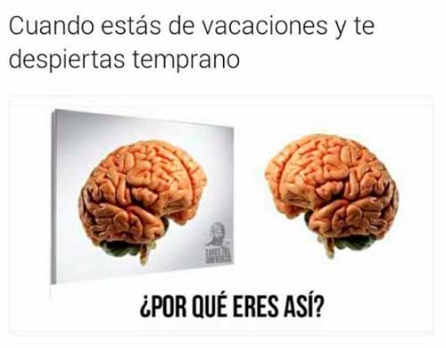 Memes de vacaciones
