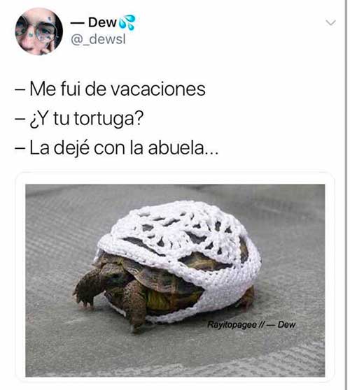 memes de vacaciones
