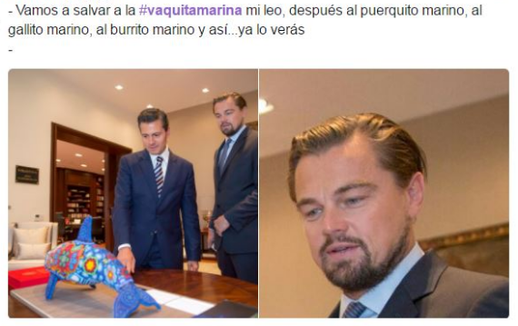 Memes epn memelas de orizaba