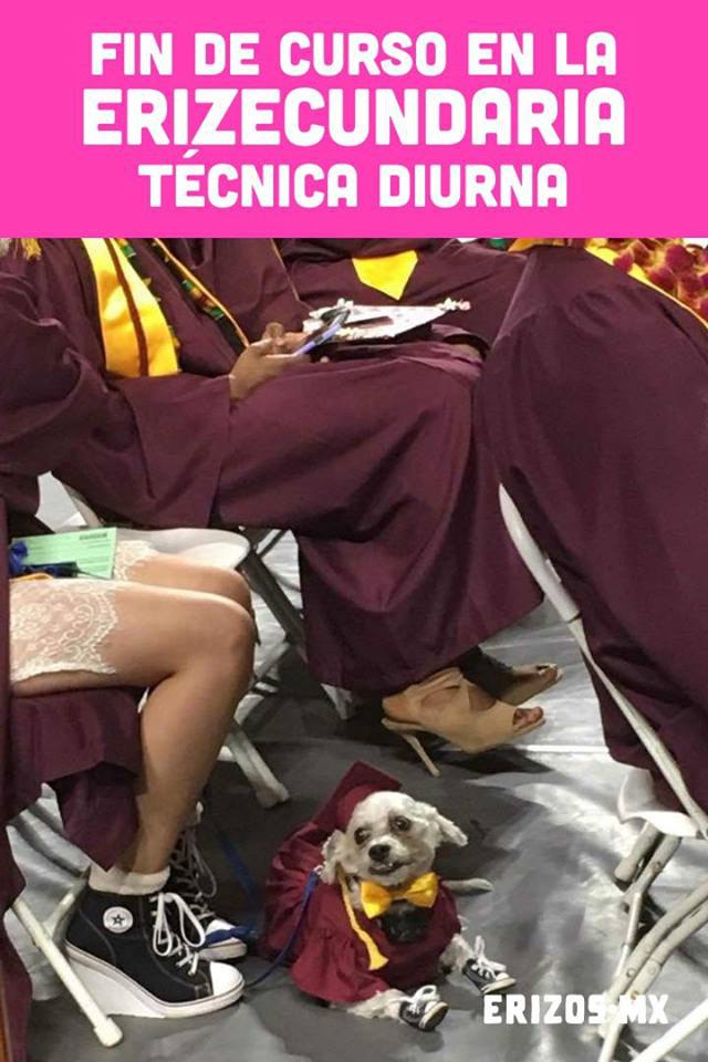 Memes de la graduacion