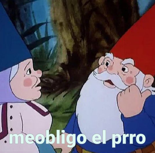 memes obligame prro