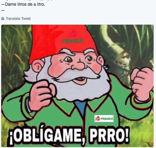 memes obligame prro