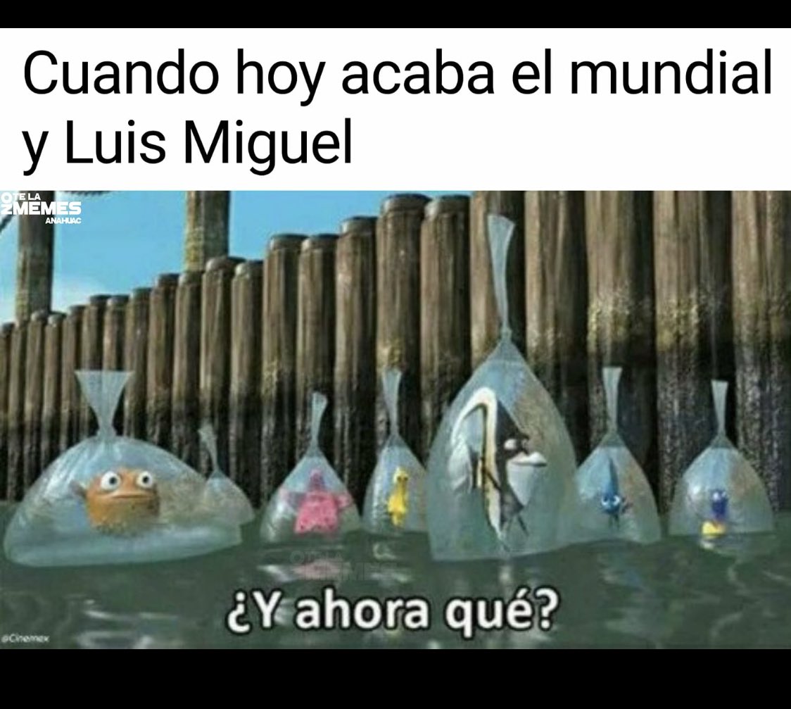 memes-superar-depresion-post-mundial-luismi-twitter