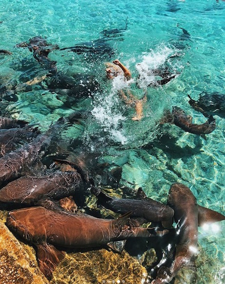 Quería una foto cool para Instagram, terminó mordida por un tiburón
