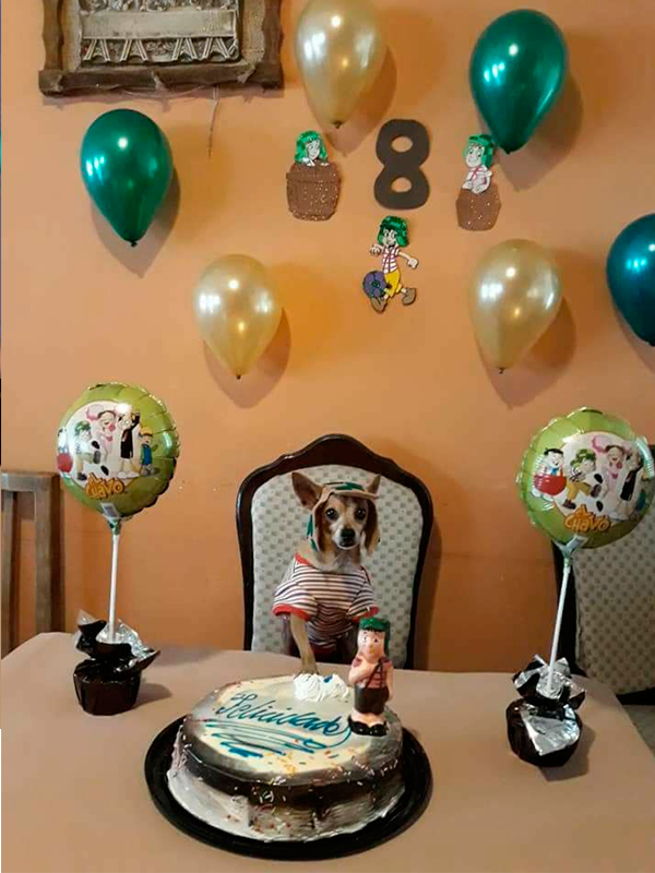 perrito-fiesta-chavo