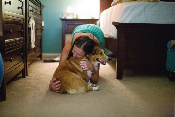 ranger-perro-ayuda-madre-humana-dar-luz