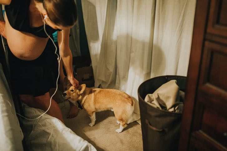 ranger-perro-ayuda-madre-humana-dar-luz