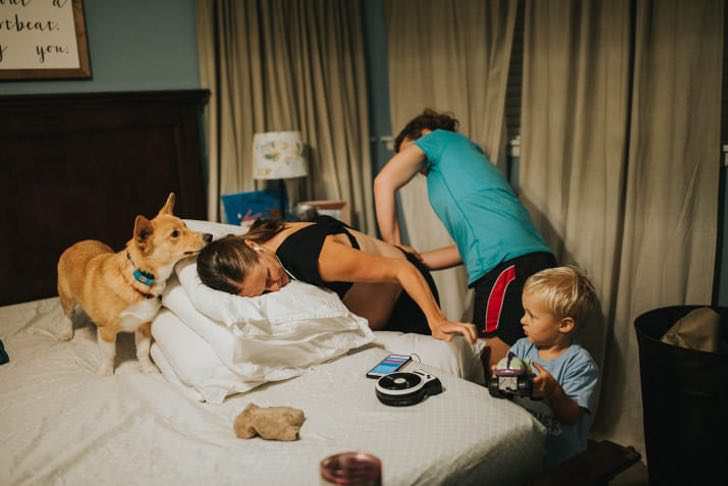 ranger-perro-ayuda-madre-humana-dar-luz