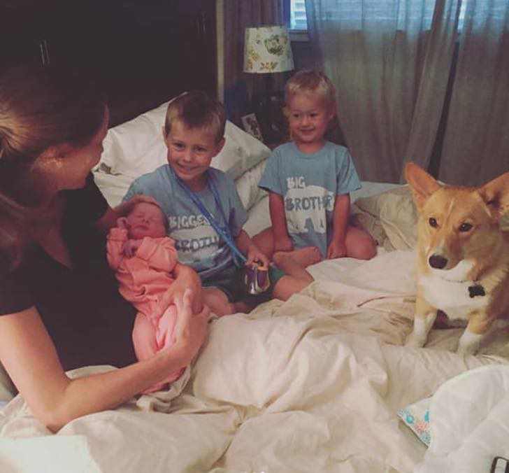 ranger-perro-ayuda-madre-humana-dar-luz