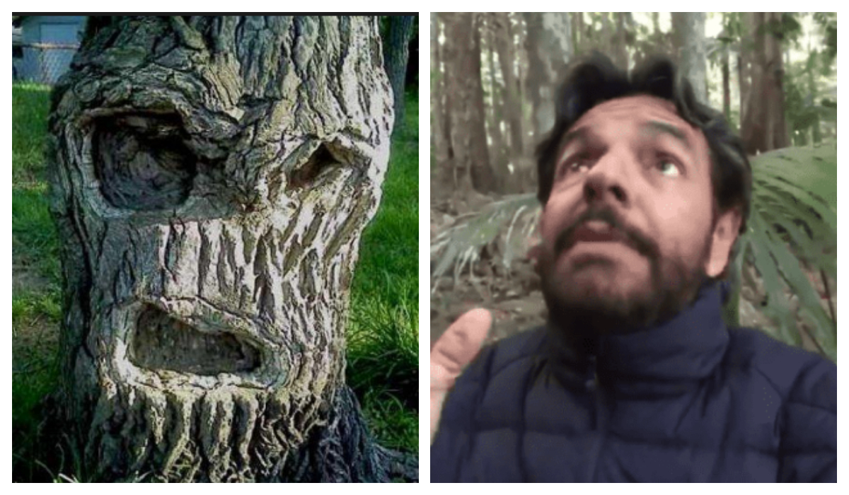 Eugenio Derbez árboles asesinos Encontró en Jungla