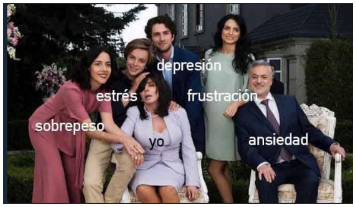 Memes de la Casa de las Flores Serie Manolo Caro