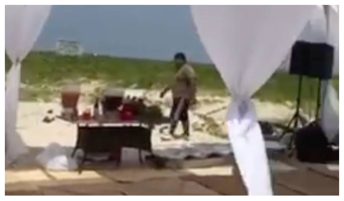 Chavorrucos aplastan tortugas Fiesta en Isla Veracruz