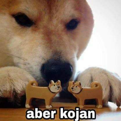 Aber-cojan-meme
